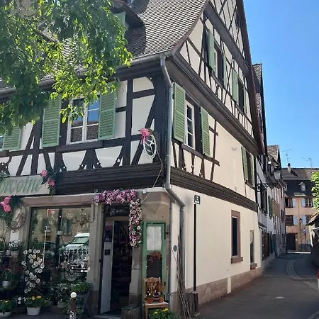 Apartman La Maison Du Batelier - Quartier Historique Petite Venise Colmar