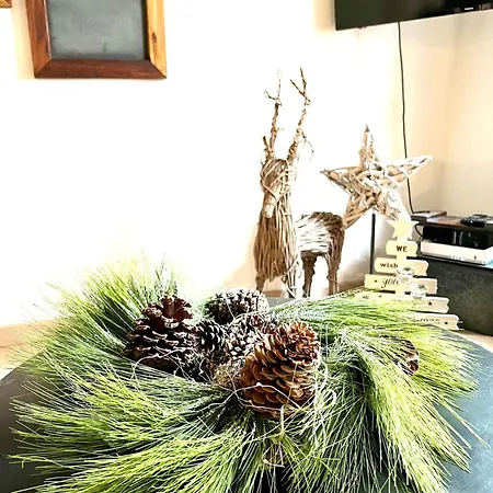 Daire La Maison Du Batelier - Quartier Historique Petite Venise