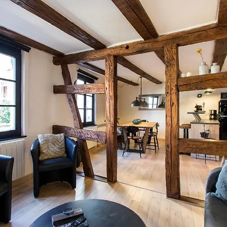 Apartment La Maison Du Batelier - Quartier Historique Petite Venise Colmar