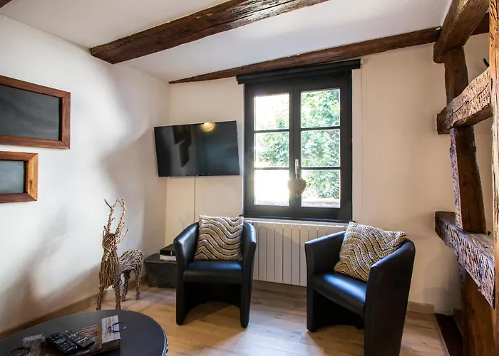 La Maison Du Batelier - Quartier Historique Petite Venise קולמר