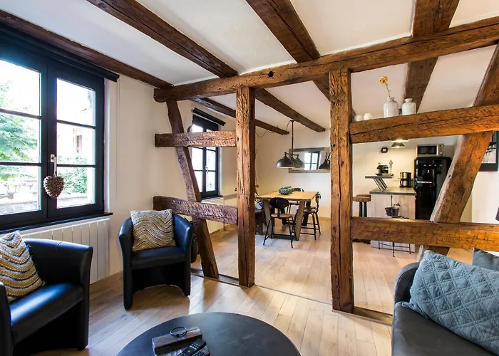 شقة La Maison Du Batelier - Quartier Historique Petite Venise كولمار