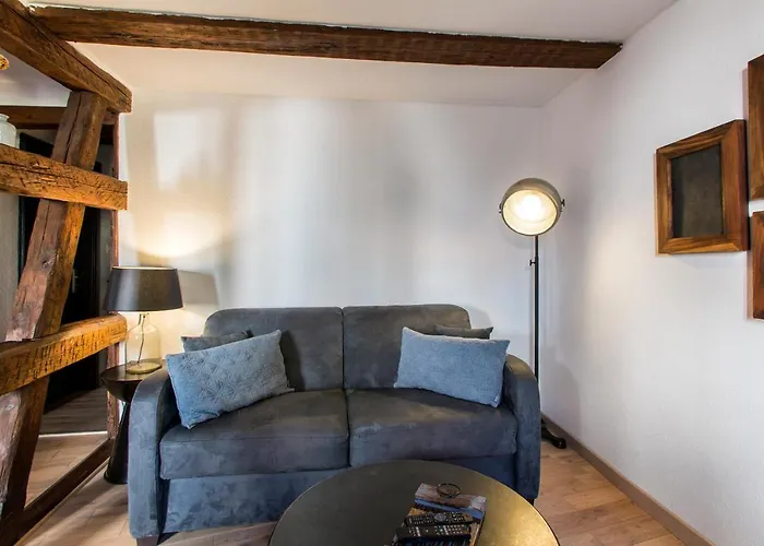 شقة La Maison Du Batelier - Quartier Historique Petite Venise كولمار
